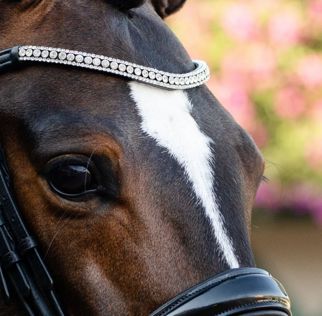 Lumiere Clear Solitaire Crystal  Snap Browband