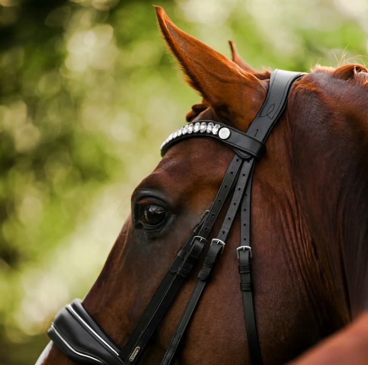 Lumiere Diva Oblong Oval Clear Crystal Snap Browband