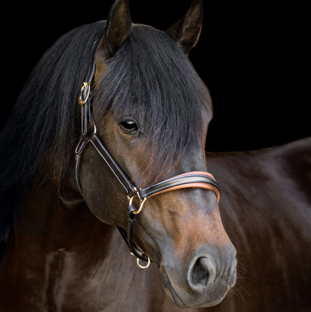 Lumiere Bella Premium Leather Halter