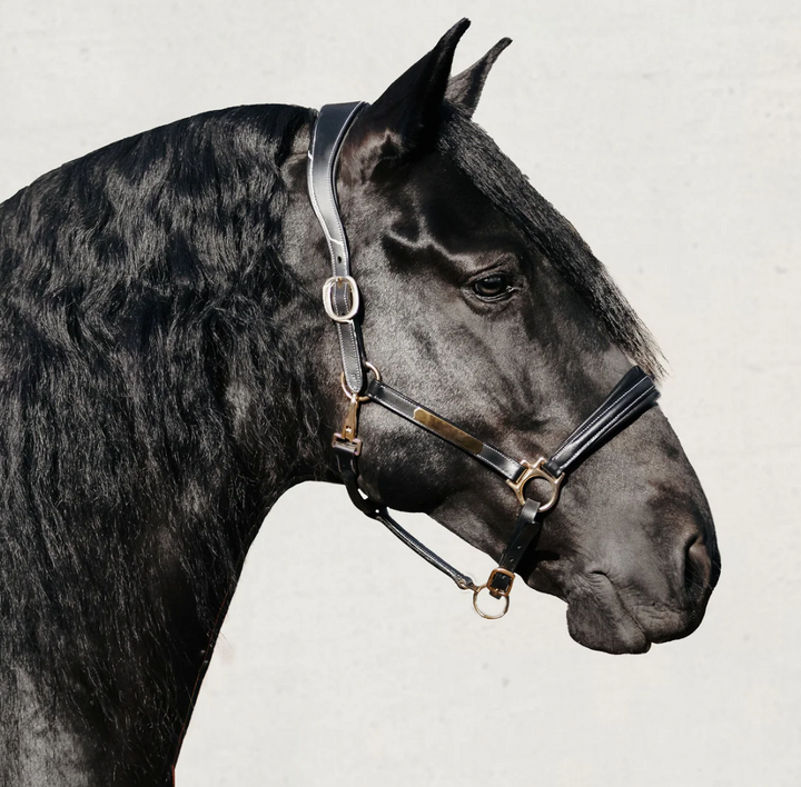 Lumiere Bella Premium Leather Halter