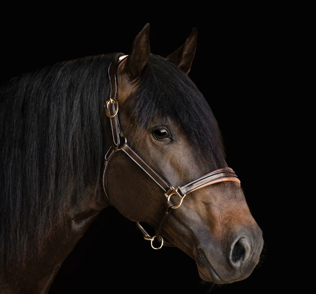 Lumiere Bella Premium Leather Halter