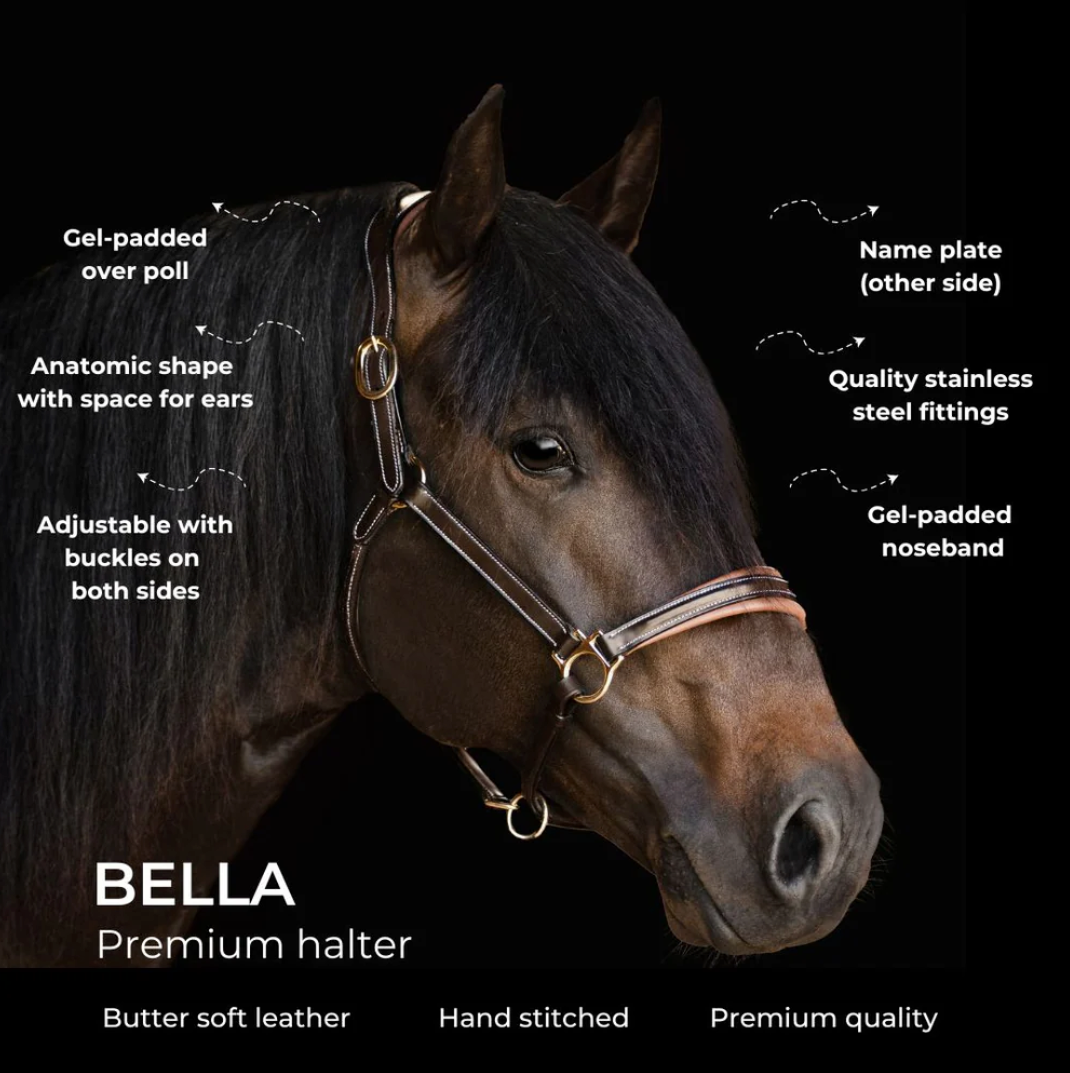 Lumiere Bella Premium Leather Halter