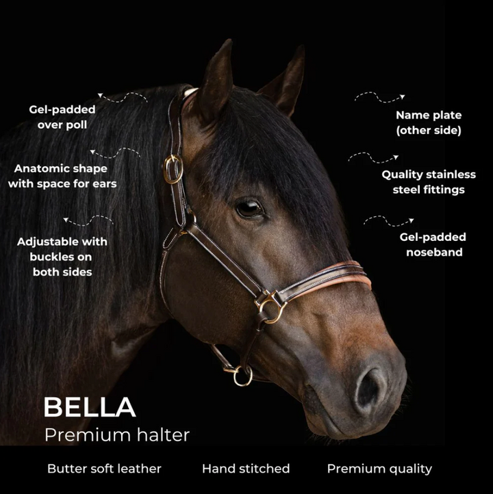 Lumiere Bella Premium Leather Halter