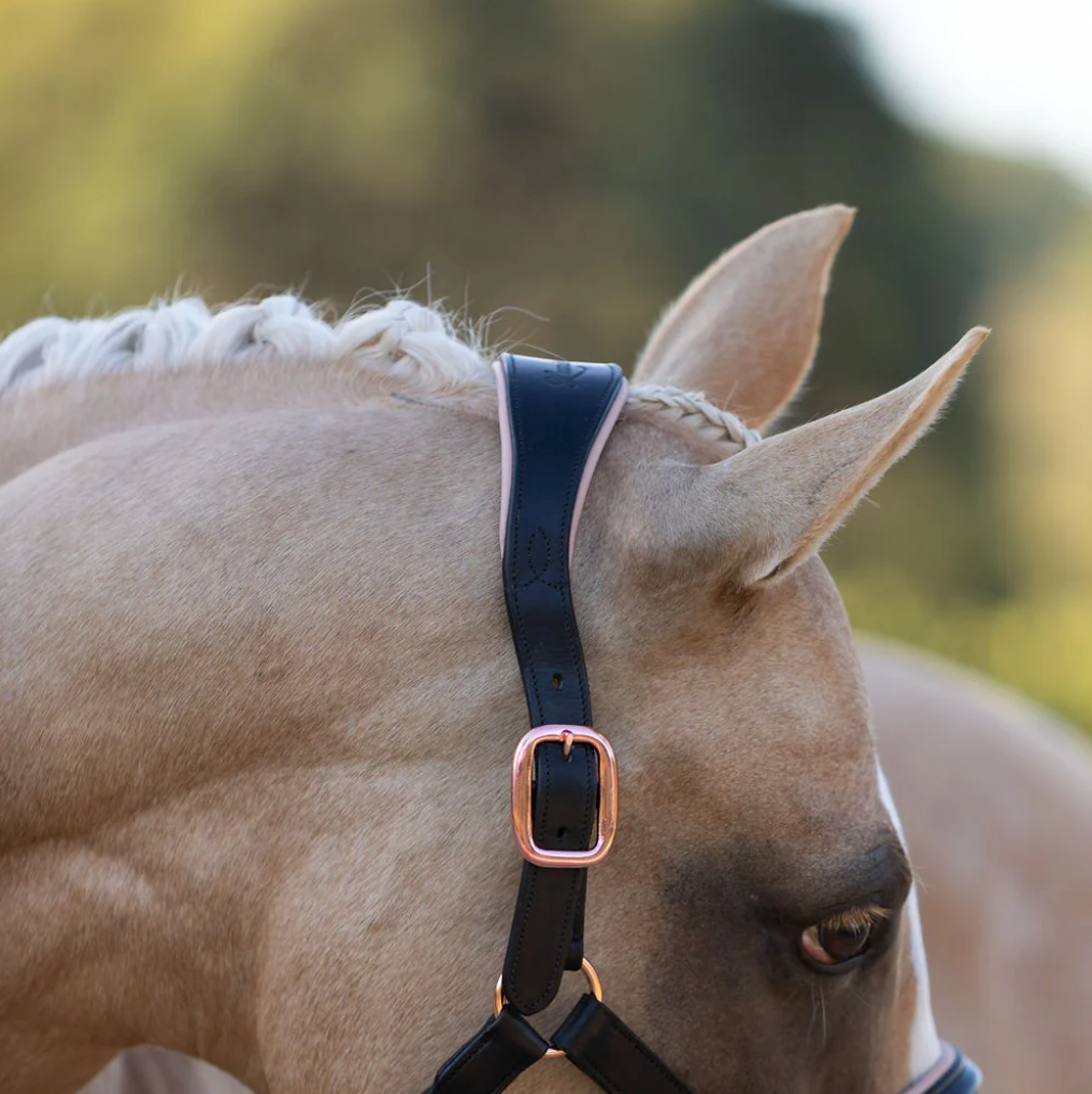 Lumiere Hollywood Black &amp; Rosegold Leather Halter