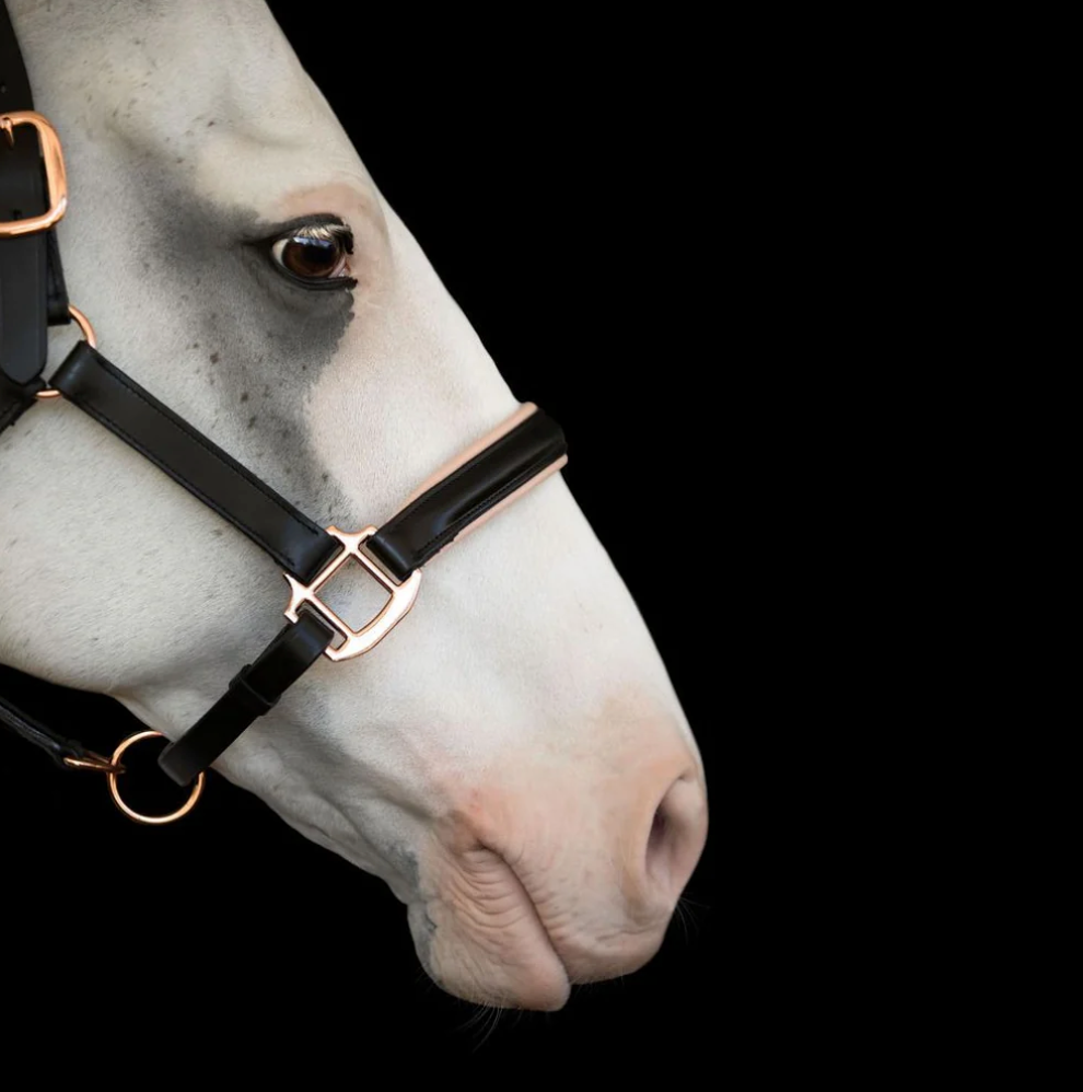 Lumiere Hollywood Black &amp; Rosegold Leather Halter