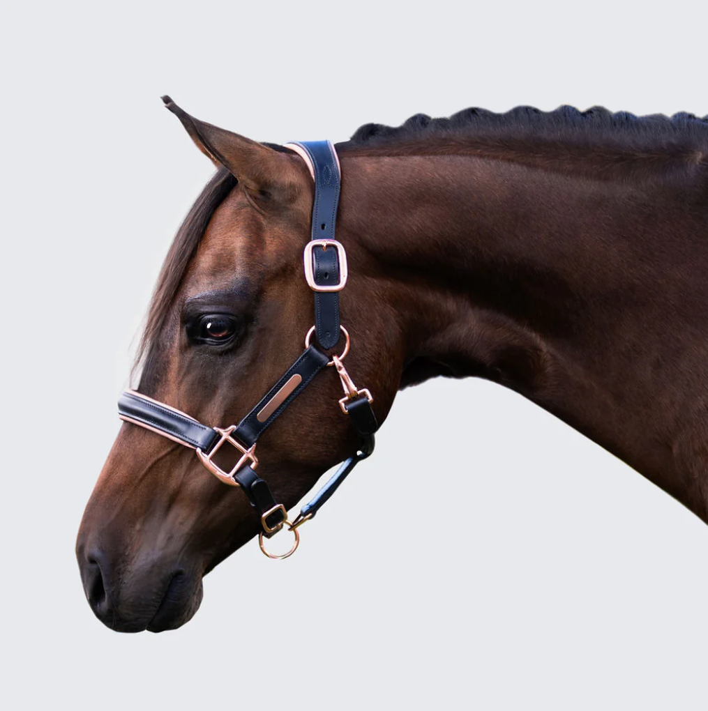 Lumiere Hollywood Black &amp; Rosegold Leather Halter