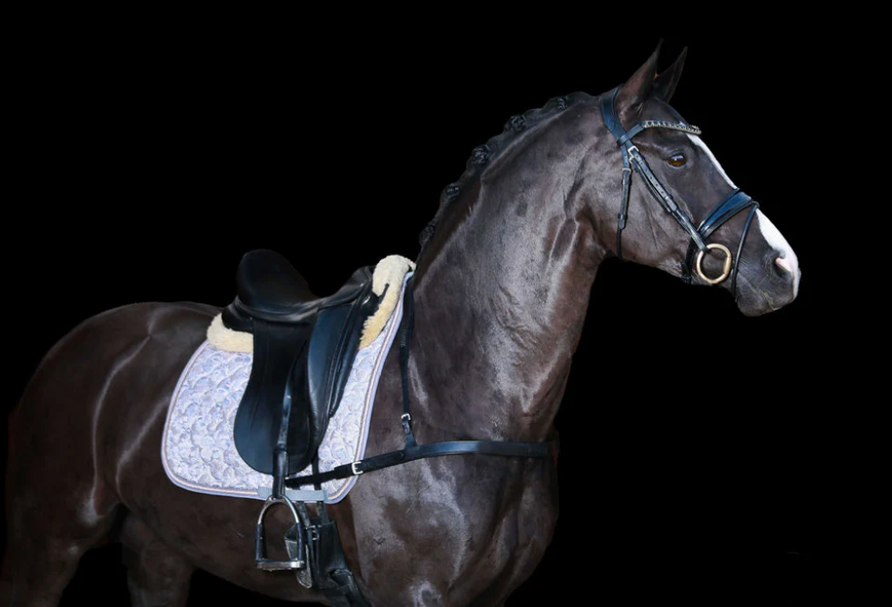Lumiere Alicia Leather Dressage Breastplate