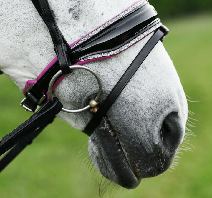 Lumiere Perla Snaffle Bridle