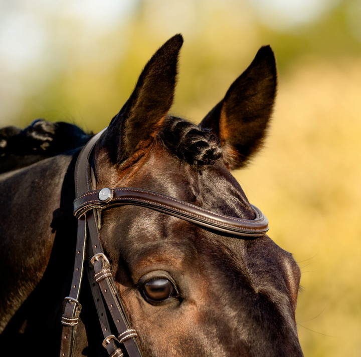 Lumiere Pia Figure 8 Bridle