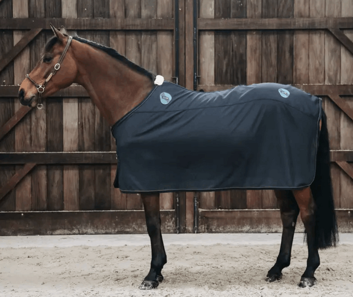 Kentucky Magnetic Recuptex Therapy Rug