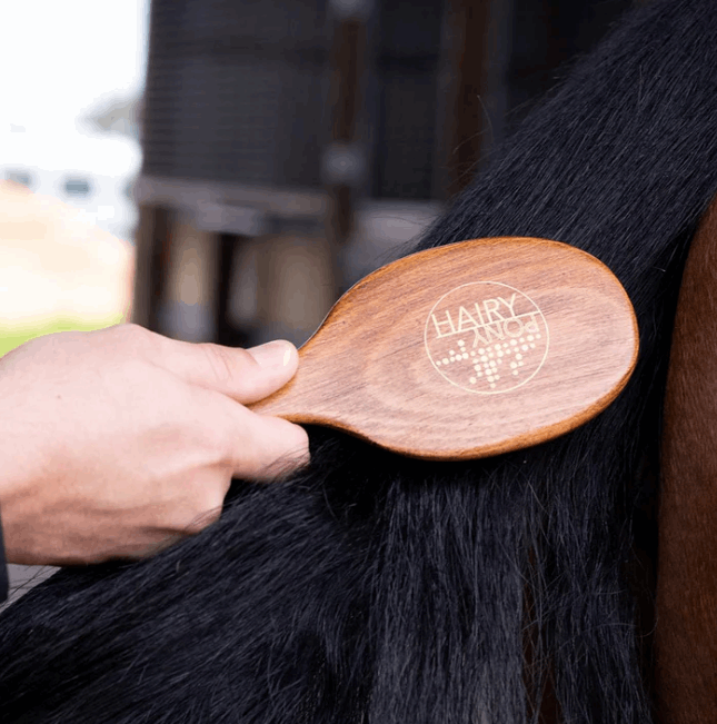 Hairy Pony Original Brush Kit