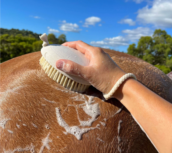 Hairy Pony Wash Bay Brush