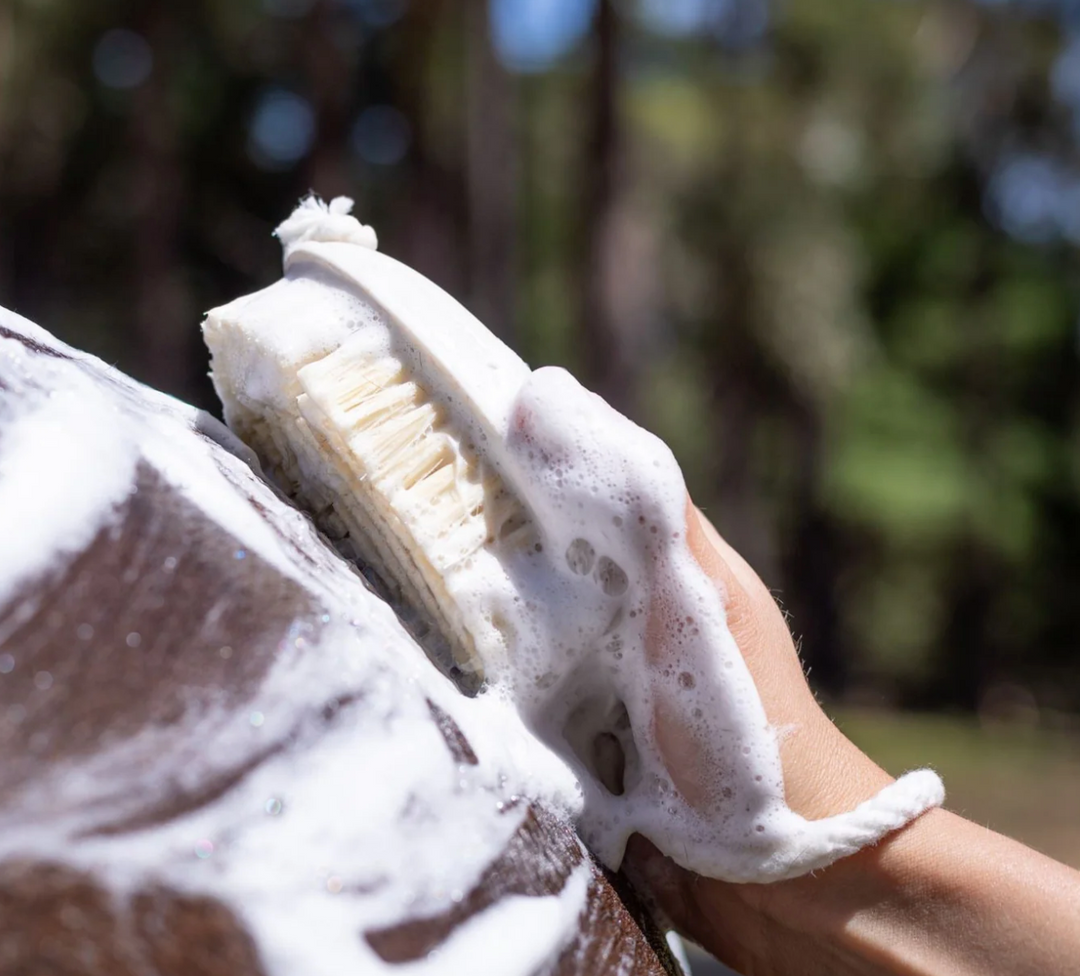 Hairy Pony Wash Bay Brush