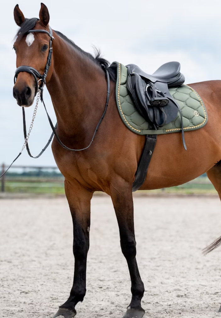 Signature JUMP Saddle Pad  - Vintage Green