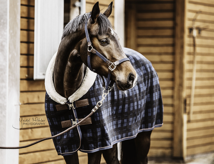 showfleece#color_navy-black-check-pattern