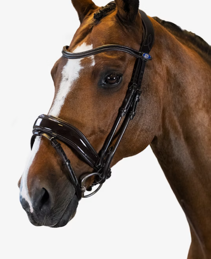 PS of Sweden Flying Change Dressage Bridle