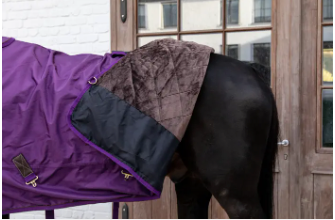 Kentucky All Weather Waterproof Pro Turnout Rug 160g fill (Various Colors)