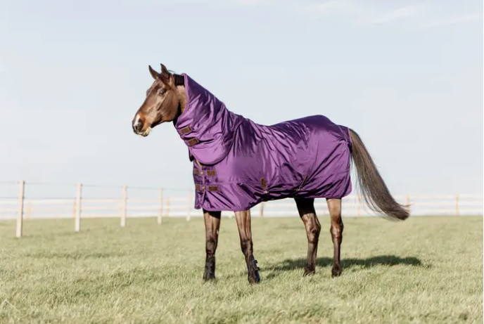 Kentucky All Weather Waterproof Pro Turnout Rug 160g fill (Various Colors)