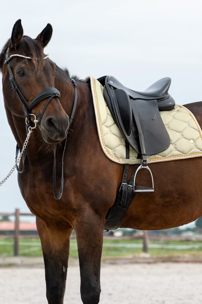 Signature Saddle Pad  - Pistachio Green