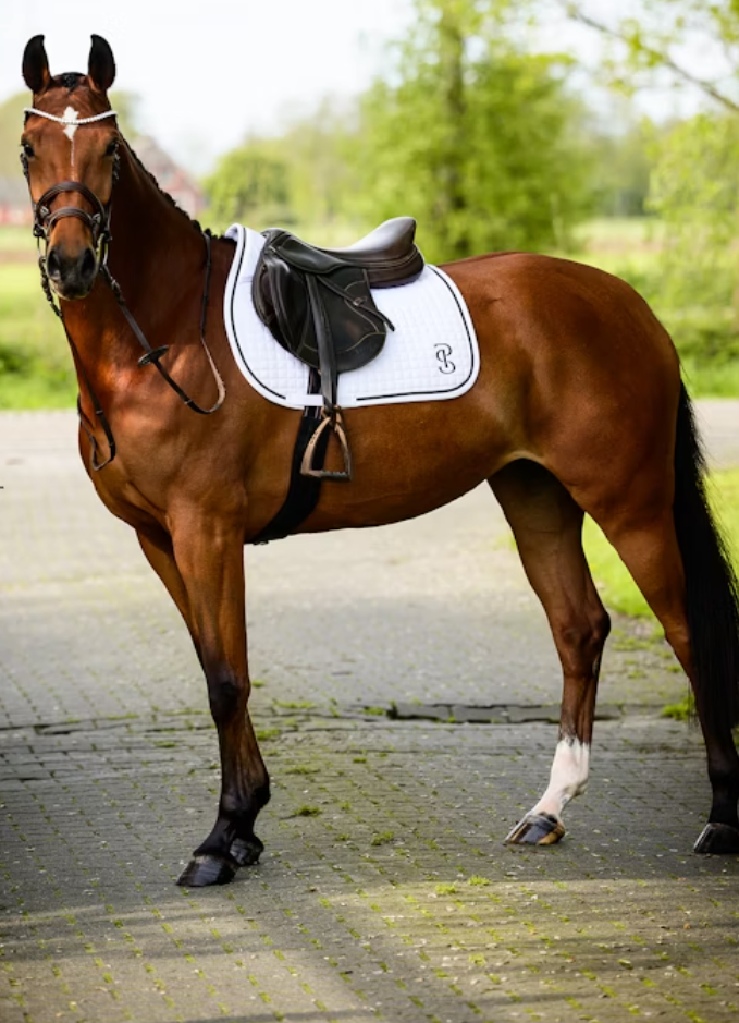 PS of Sweden Elite  Saddle Pad