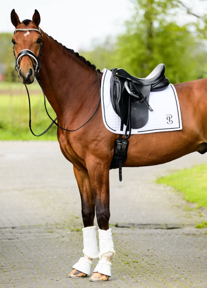 PS of Sweden Elite  Saddle Pad