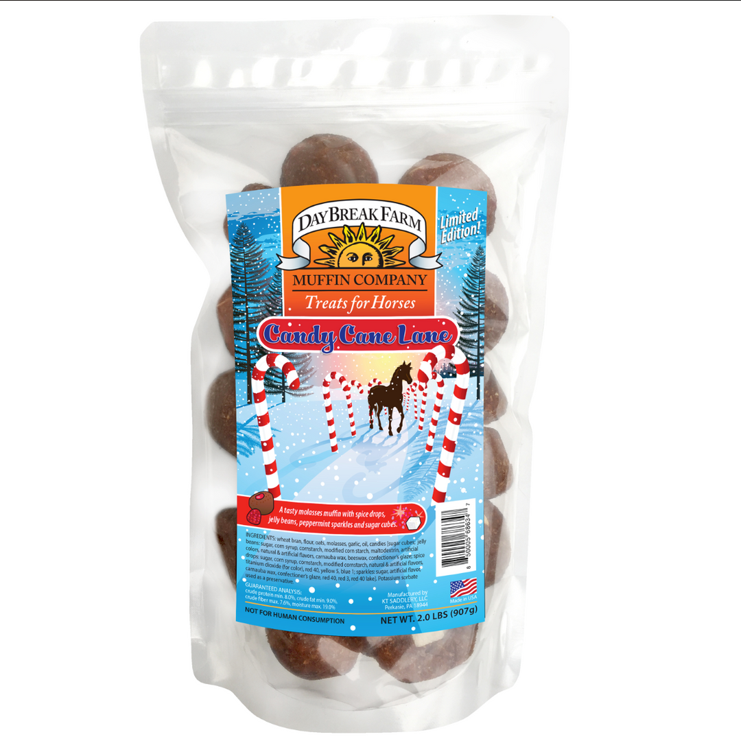 Candy Cane Lane Holiday Muffin Horse Treats