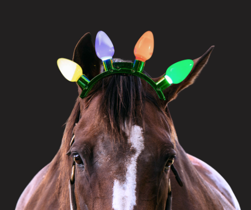 Lotsa Lites! JUMBO Flashing Holiday Headband