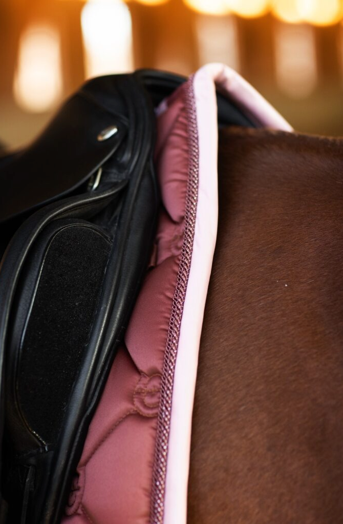 Equestrian Stockholm Saddle Pad Dressage & Jump - Amber Rose