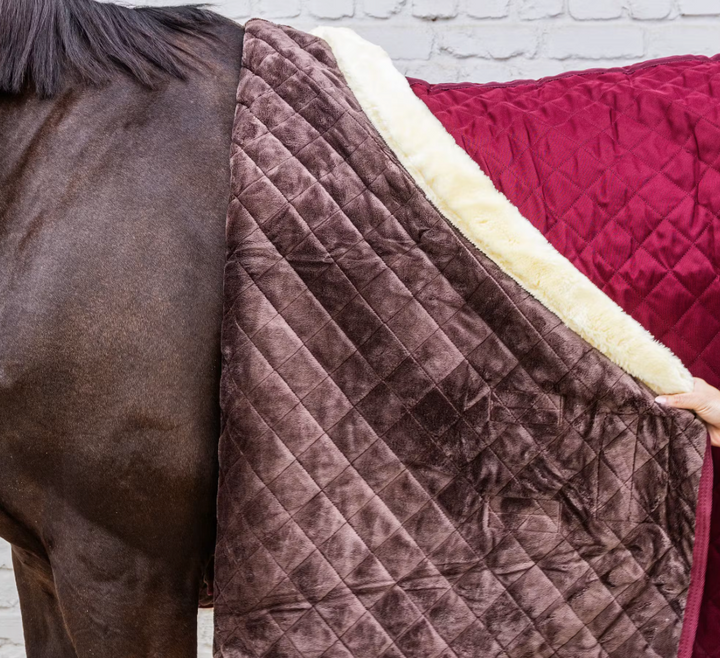 KYshowRug#color_bordeaux