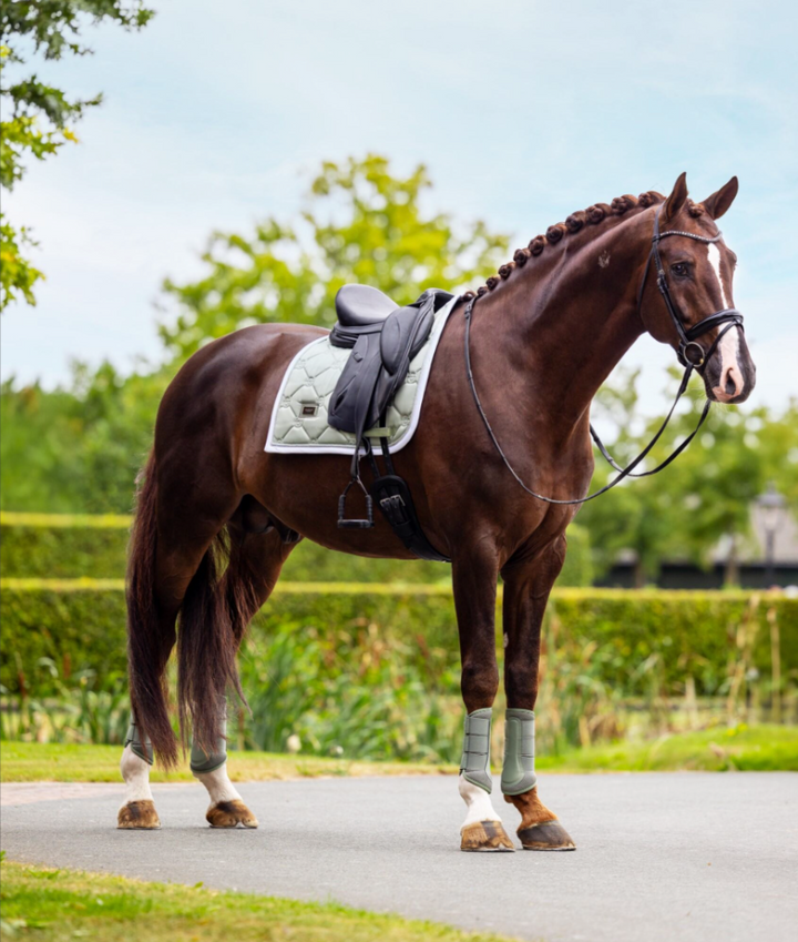 Equestrian Stockholm Pistachio White Classic Dressage Pad