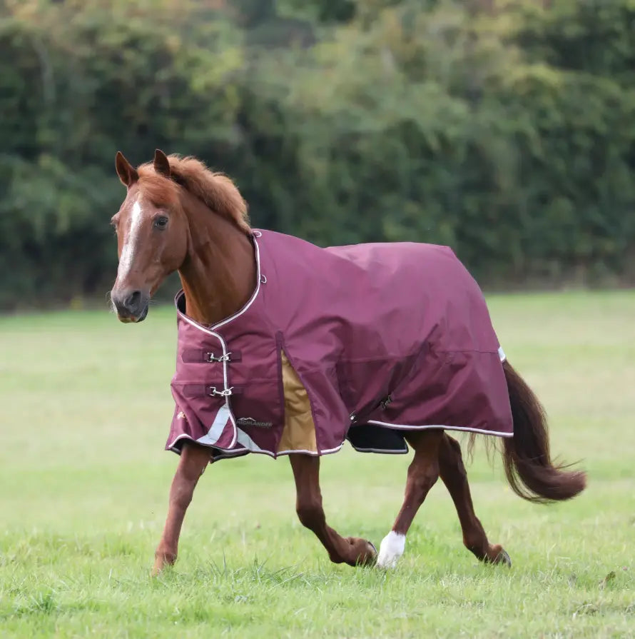 Shires Highlander Plus Standard Neck Turnout Rug Shires Equestrian#color_maroon