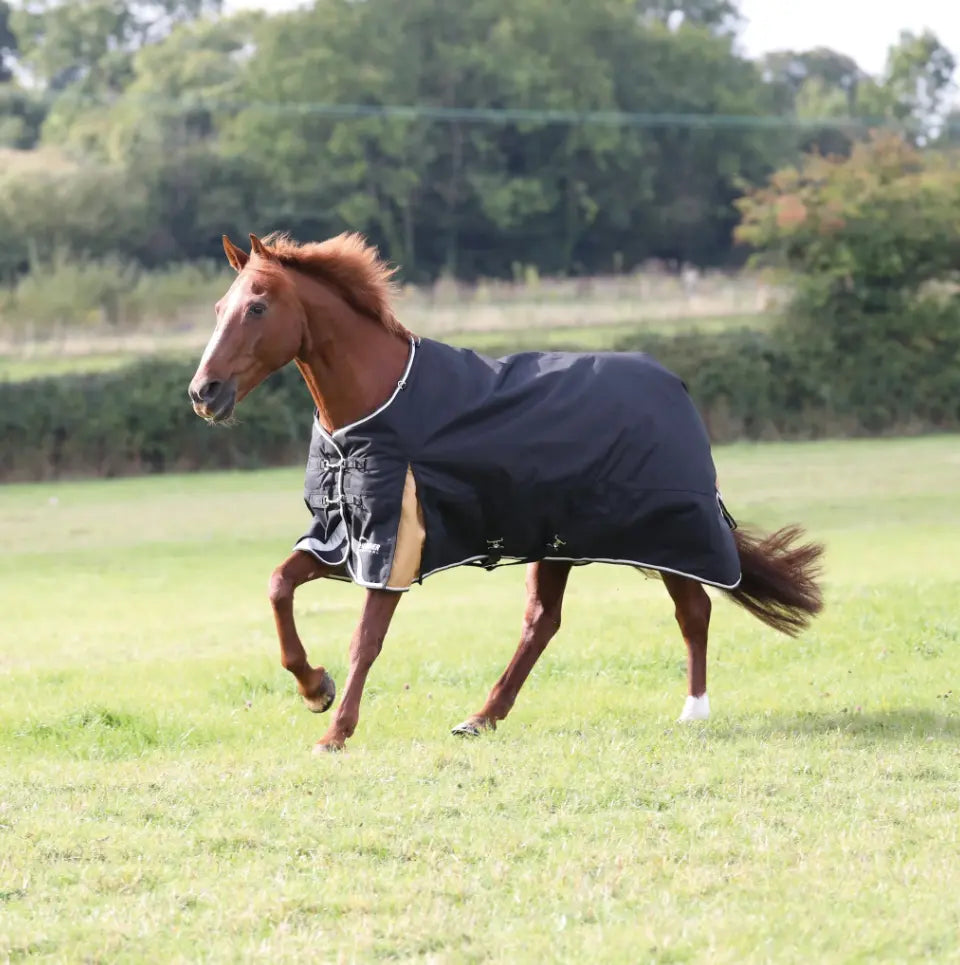 Shires Highlander Plus Standard Neck Turnout Rug Shires Equestrian #color_black