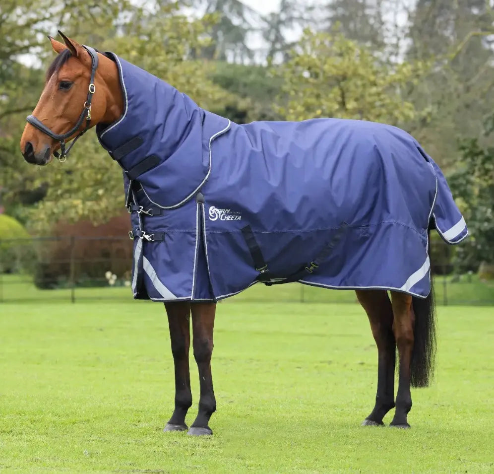 Shires StormCheeta 200g fill Turnout with Detachable Neck Cover Shires Equestrian
