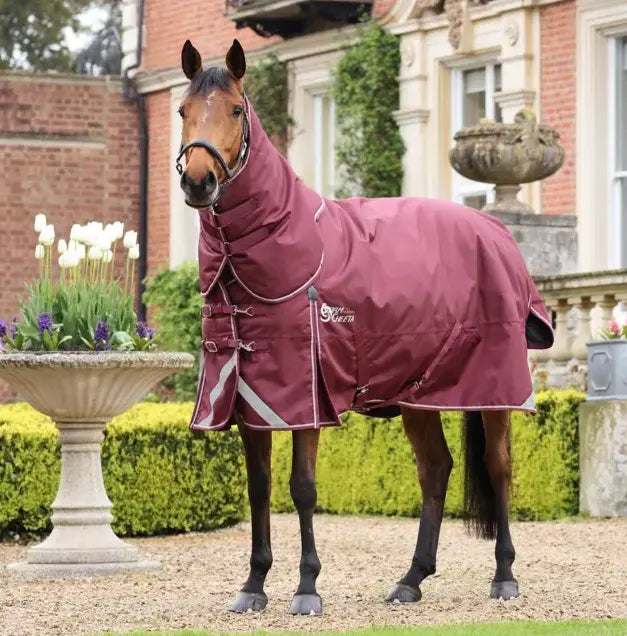 Shires StormCheeta 300g fill Turnout with Detachable Neck Cover Shires Equestrian