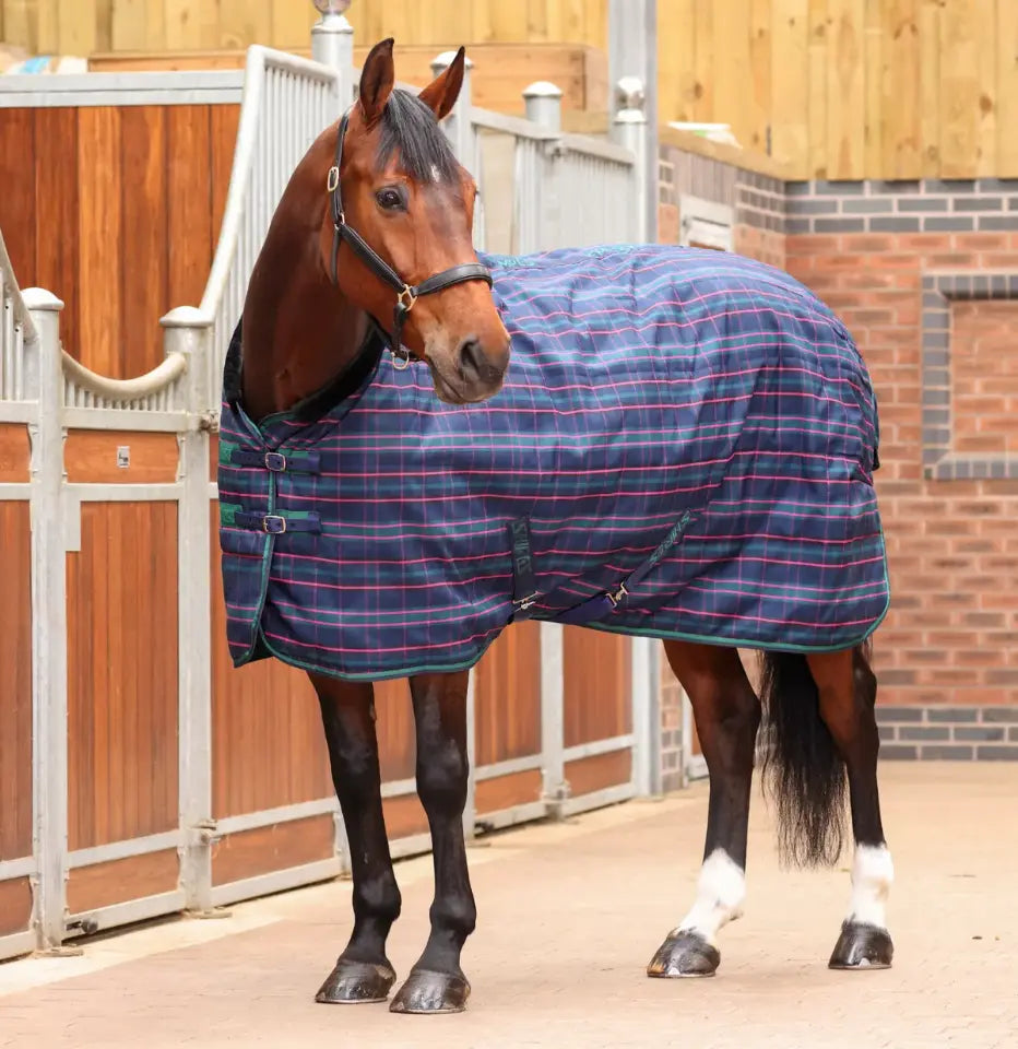 Shires Tempest Plus 100g Stable Rug Shires Equestrian