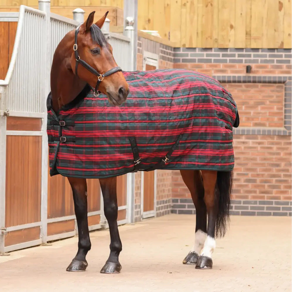 Shires Tempest Plus 200g Stable Rug Shires Equestrian