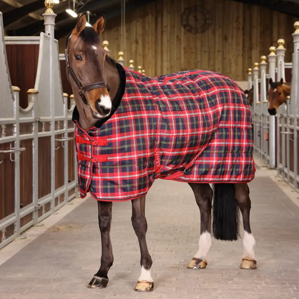 Shires Tempest Plus 200g Stable Rug Shires Equestrian