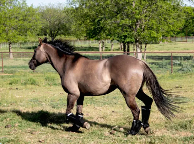 Warrior Fly Boots - Patented Superior Protection Muvado