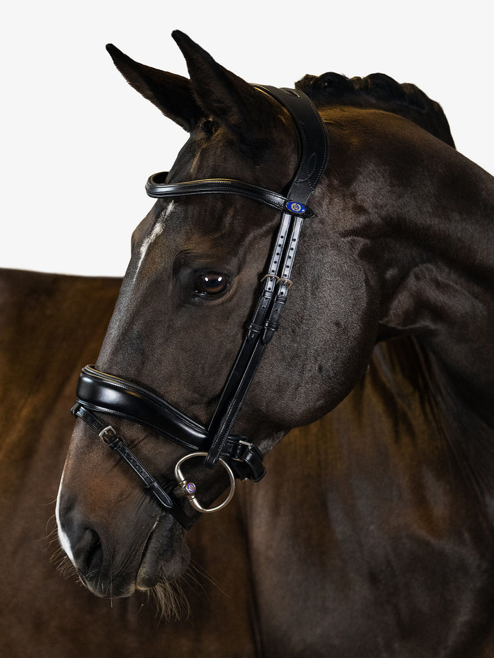 PS of Sweden Flying Change Dressage Bridle