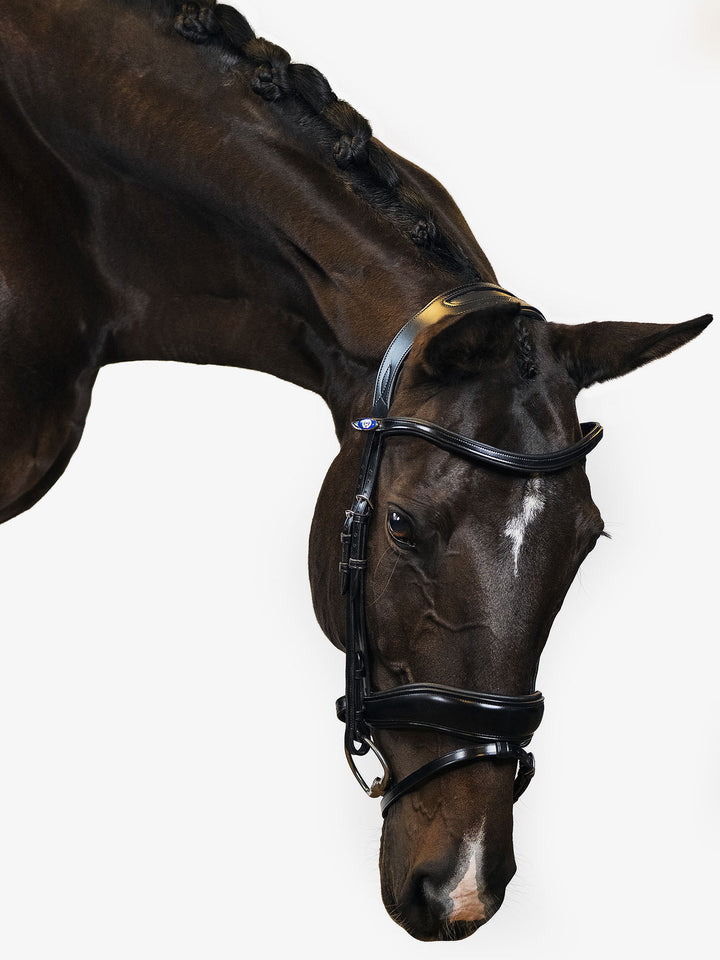 PS of Sweden Flying Change Dressage Bridle