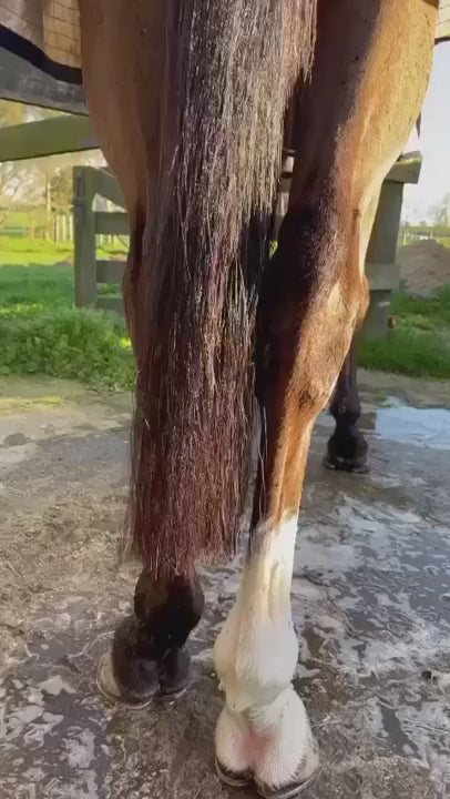 Hairy Pony Horse Tail Trimming Scissors