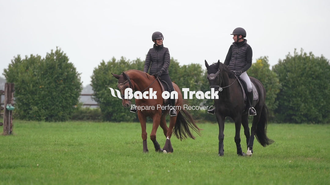 Back on Track Haze Cooler#color_brown