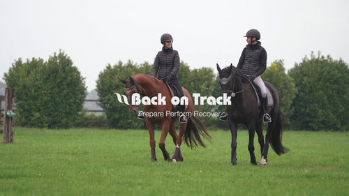 Back on Track Haze Cooler#color_brown