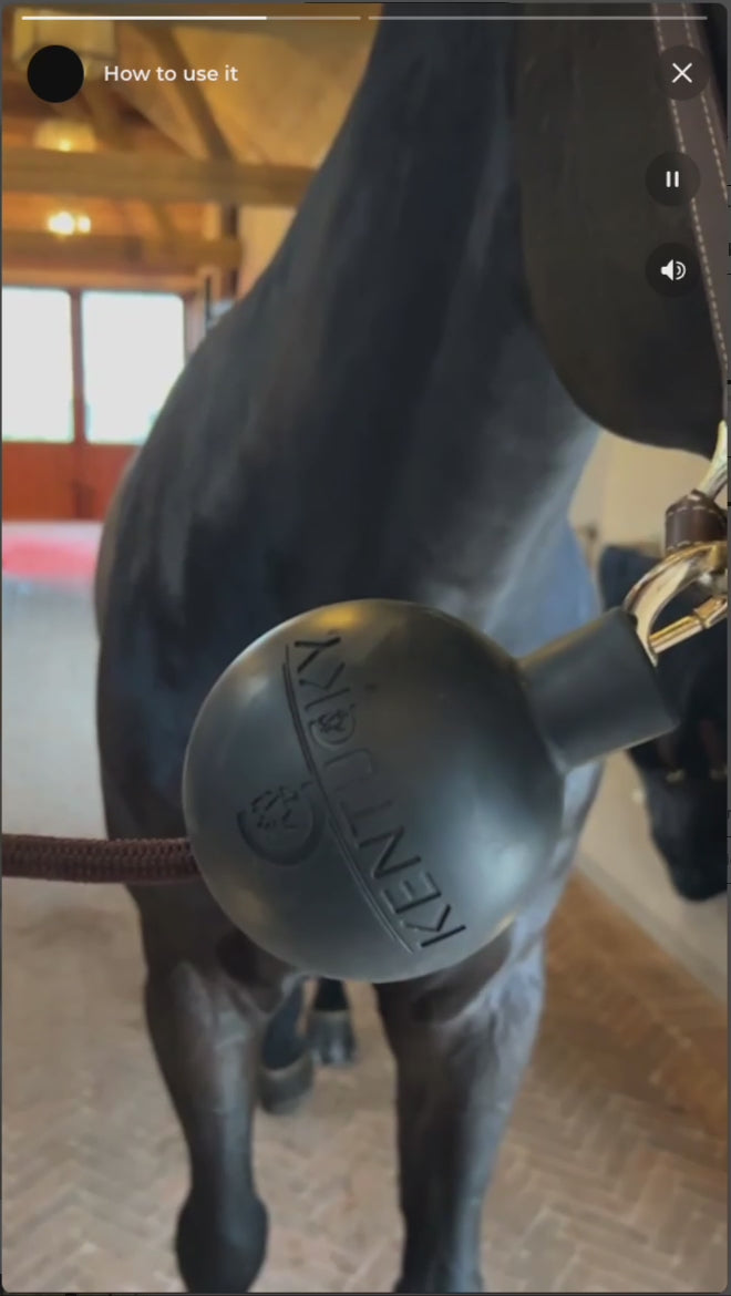 Kentucky Cross Tie Rubber Ball (Single) Kentucky Horsewear