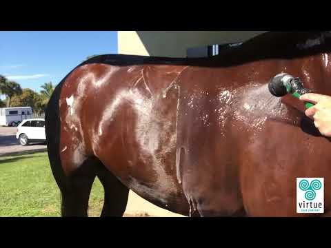 Virtue Citronella Lavender Soap Bar for Horses