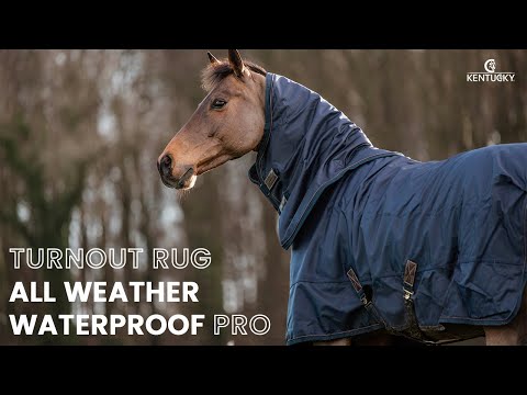 Kentucky All Weather Waterproof Pro Turnout Rug 160g fill (Various Colors)