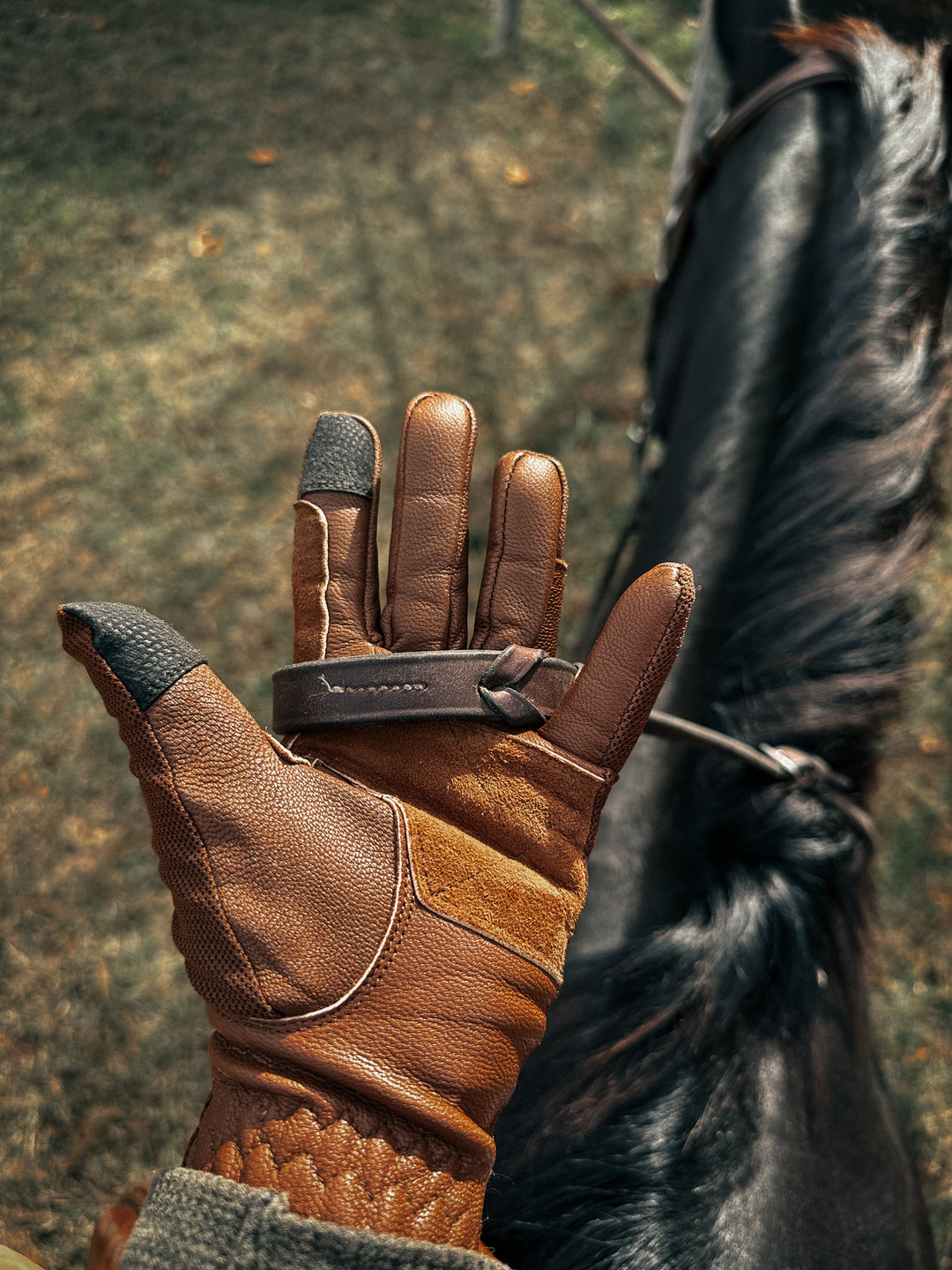 16 Cypress Leather Riding Gloves